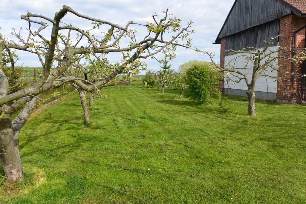 Rodinne Ubytovani - Family Accommodation Kobylice Kültér fotó